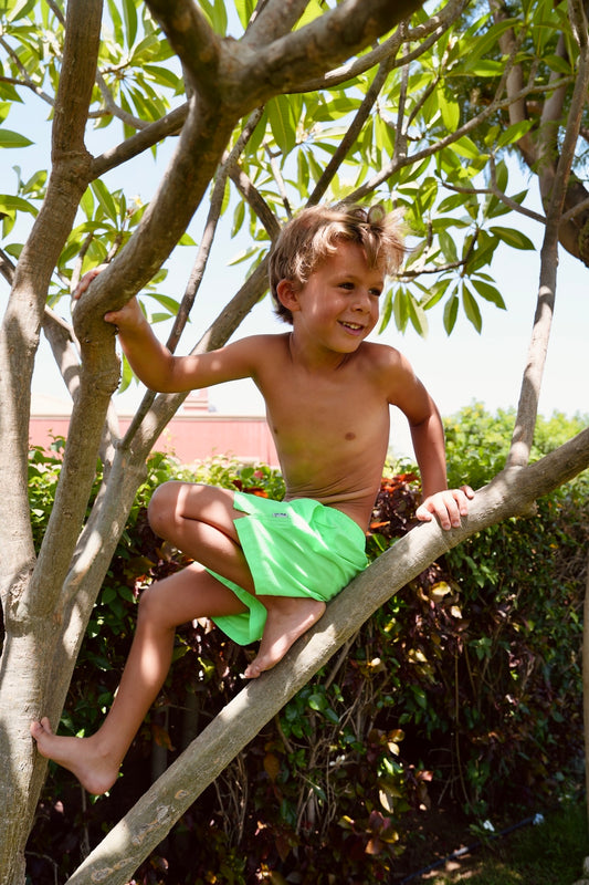 Miami Green Fluo swim shorts