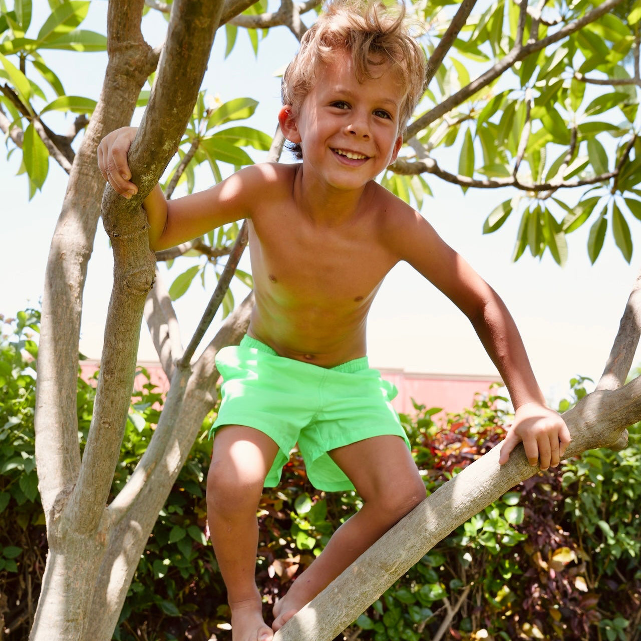 Miami Green Fluo swim shorts